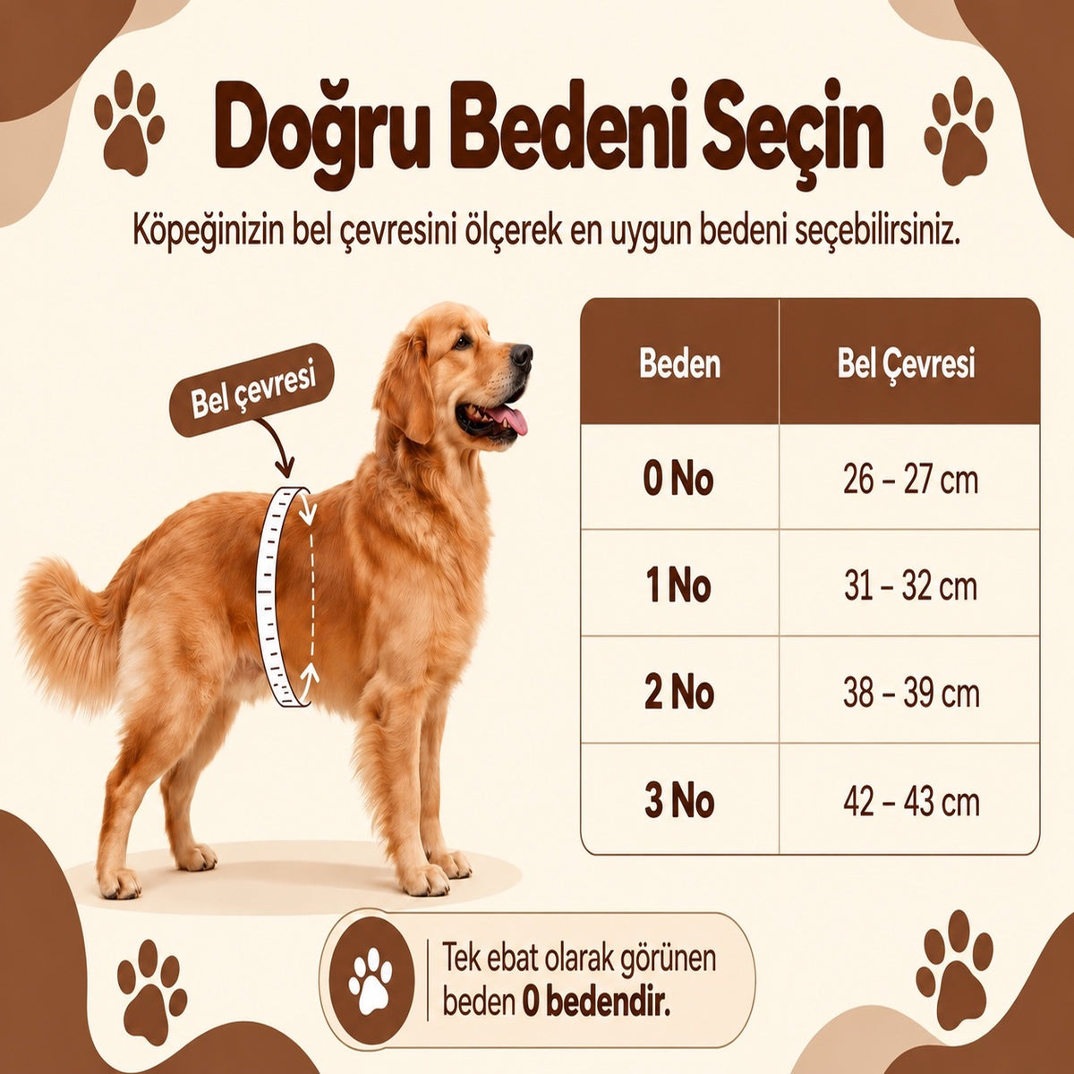 Köpek Hijyen Külotu